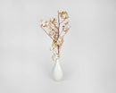 Natural white dried cotton stalks with stems in a white ceramic vase, wholesale bulk bundle.