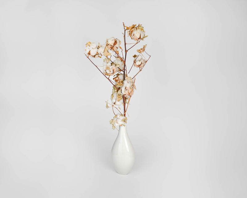 Dried Cotton Stalks | 10 Stems | Natural White Cotton with Natural Stem