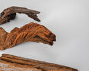 Natural dried driftwood pieces in brown and beige tones, wholesale bulk case of 72.