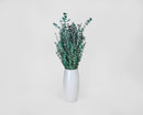 Bulk bundle of natural dried eucalyptus branches in a white ceramic vase against a plain background.