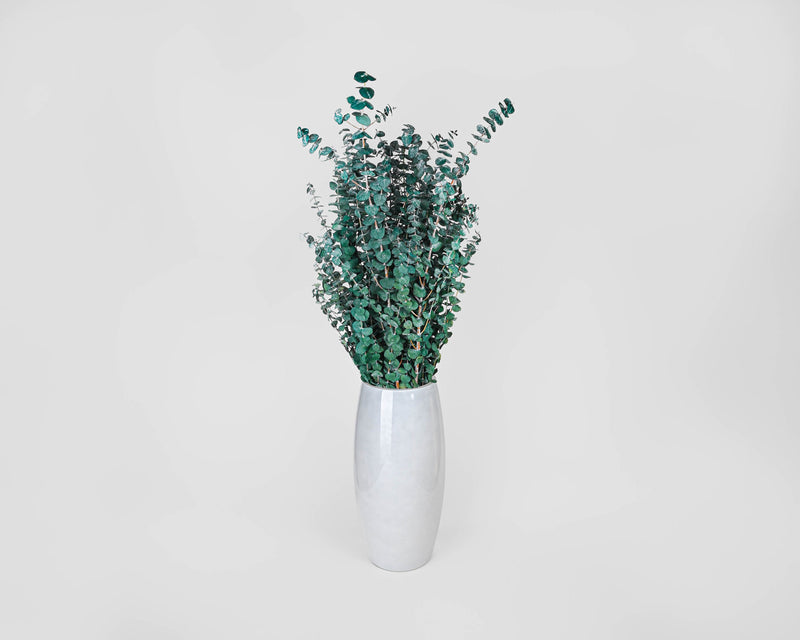 Preserved Eucalyptus Branches - 1lb Bunch | 10 Bunches | Green