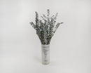 Bulk dried eucalyptus branches in natural basil green arranged in a striped ceramic vase.