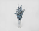 Bulk dried natural eucalyptus branches in blue arranged in a striped white vase.