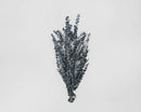 Bulk bundle of 15 dried natural eucalyptus branches in muted blue tone for wholesale decor.