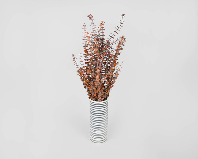 Preserved Eucalyptus Stems | 15 Bunches | Harvest