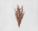 Bulk dried eucalyptus stems in natural autumn tones, arranged in 15 wholesale bunches.