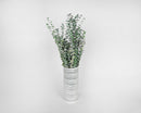 Bulk dried natural eucalyptus branches in kiwi green displayed in a striped white vase.