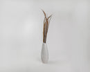 Natural dried Lady Amhurst feathers, 30-35 inches, bundled in six wholesale bunches in a white vase.