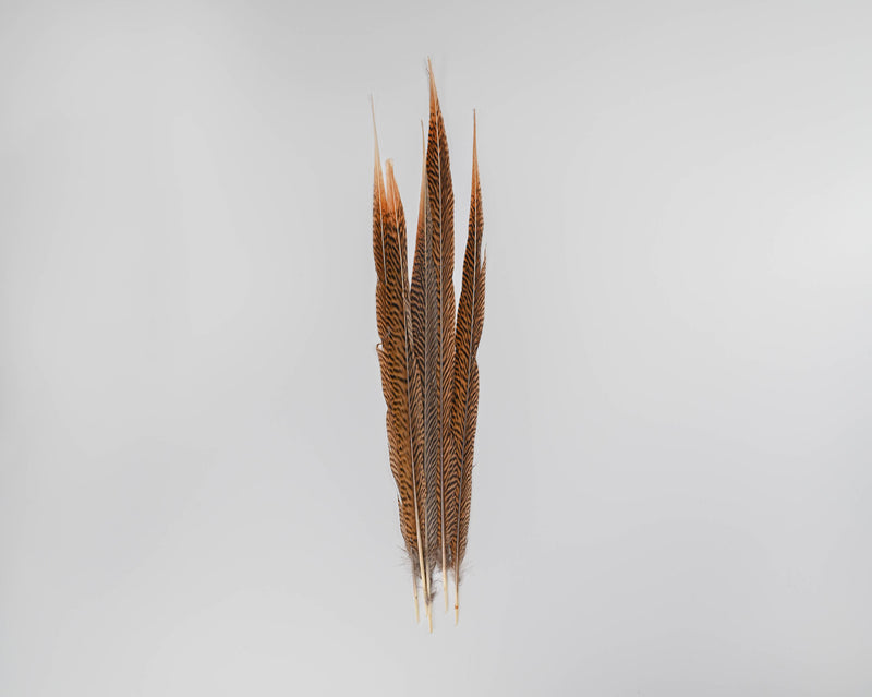 Golden Pheasant Feathers - Real | 12 Bunches