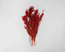 Red dried hanging amaranthus bunch with natural texture for wholesale or bulk floral use.