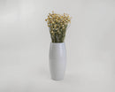 Bundle of dried Ammobium flowers with small white and yellow blooms in a tall white ceramic vase.
