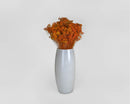 Bulk dried natural broom bloom flowers in vibrant orange, arranged in a tall white ceramic vase.