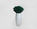 Deep green dried broom bloom flowers arranged in white ceramic vase, natural bulk bouquet.