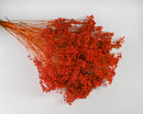 Bulk dried natural broom bloom flowers in vibrant orange, wholesale 15 bunches.