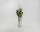 Natural dried Caspia flower bunch with green stems in a tall striped white vase.