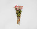 Dried natural celosia coxcomb bouquet in rose color with green leaves and brown stems.