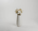 Natural white dried everlasting Helichrysum flowers arranged in a minimalist white ceramic vase, bulk wholesale bouquet.
