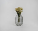 Bundle of dried pearly everlasting flowers in a textured gray glass vase, natural wholesales bulk bouquet.