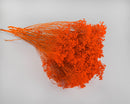 Bulk dried bleached blooms bundled in vibrant orange, natural texture, wholesale option.