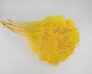 Bright yellow dried blooms bunch with natural stems, bulk wholesale floral arrangement.