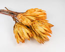 Bulk dried natural Protea Repens bunch with yellow-orange petals on brown stems.