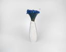 Dried natural starflower bouquet in vibrant blue stems arranged in tall white vase, wholesale bulk display.