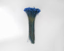 Bulk dried natural starflower bunch with vibrant blue dyed petals and long stems.
