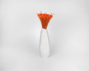 Bright orange dried starflower bunch in a tall white ceramic vase, natural bulk decor.