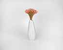 Dried natural starflower bunch in soft pink displayed in tall white ceramic vase.