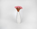 Pink dried starflower bouquet in slim white ceramic vase, natural bulk floral arrangement.