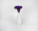 Purple dried starflower bunch in tall white ceramic vase, natural wholesale bulk flowers.
