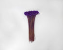 Bundle of natural dried starflower dyed purple, wholesale bulk bunches with long brown stems.