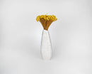 Bulk natural dried starflower bunches in bright yellow arranged in tall white ceramic vase.