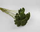 Bulk dried natural yarrow flower bunch in green with textured clustered blooms and long stems.