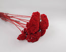 Bright red dried yarrow flower bunches with natural textured blooms, wholesale bulk quantity.
