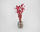 Bulk dried Phalaris grass bunches in vibrant berry red arranged in a clear textured vase.