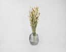 Dried natural Phalaris grass bunch in bulk, displayed in clear textured glass vase.