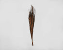 Bulk dried ornamental wild grass bunch in burnt oak color with natural texture.