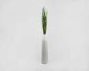Single bunch of natural dried wild grass in tall white ceramic vase on white background.