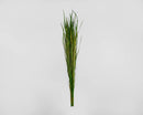 Single bunch of natural dried wild grass with long slender green blades, wholesale bulk decor.
