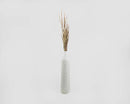 Dried natural ornamental wild grass bunch in neutral tones arranged in tall white vase.
