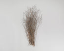 Bundle of dried natural huckleberry branches in light brown, wholesale bulk decor.