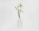Dried natural green curly kiwi vine branches in a white textured vase, bulk wholesale decor.
