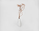 Dried natural curly kiwi vine branches in white textured vase, wholesale bulk decor.