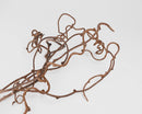 Natural dried curly kiwi vine branches in bulk, suitable for wholesale decorative use.