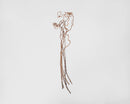 Dried natural kiwi vine branches bundled together in a bulk wholesale set.