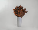 Bulk dried natural chocolate brown oak leaves arranged in white vase for wholesale use.