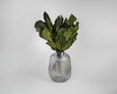 Bundle of dried natural preserved lemon leaves in hunter green, displayed in a clear ribbed glass vase, wholesale bulk.