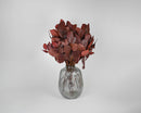 Bulk dried preserved lemon leaves in deep burgundy color arranged in a clear ribbed glass vase.