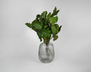 Hunter green preserved lemon leaves bundled in a clear ribbed glass vase, dried natural bulk wholesale foliage.